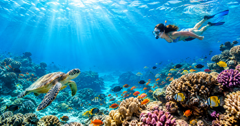 10 Best Places to Snorkel in the World: Epic Reefs, Marine Life & U.S. Traveler Guide